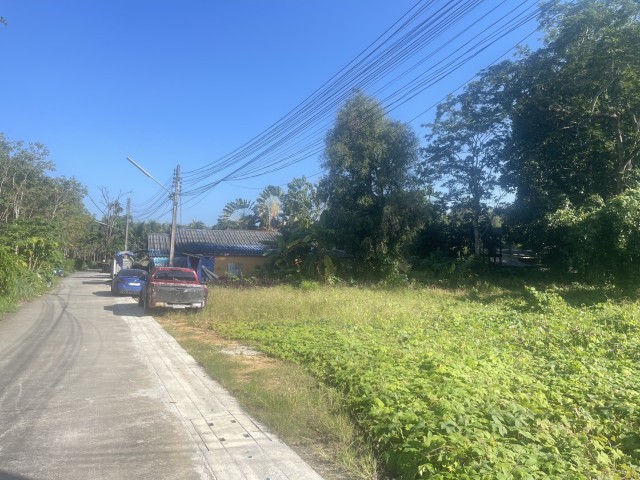 SALEขายที่ดิน พิกัด พรุจำปา ต.เทพกระษัตรี เนื้อที่ 3 ไร่เศษ ขาย 9 ล้านต่อไร่