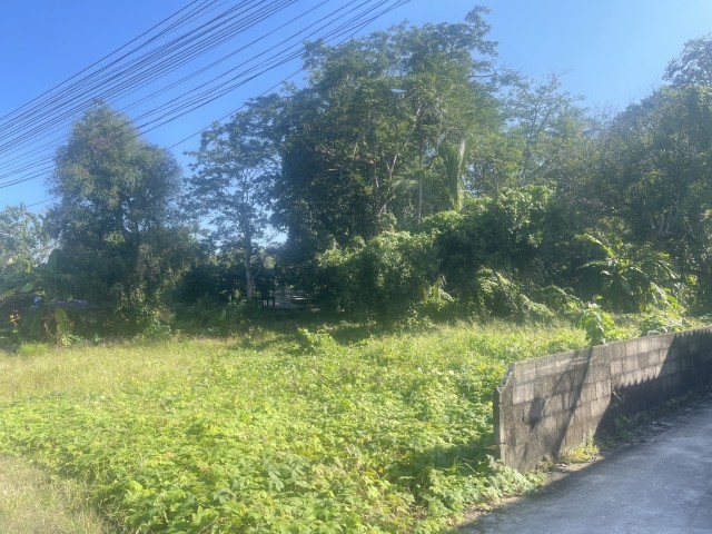 SALEขายที่ดิน พิกัด พรุจำปา ต.เทพกระษัตรี เนื้อที่ 3 ไร่เศษ ขาย 9 ล้านต่อไร่