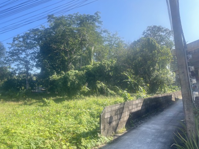 SALEขายที่ดิน พิกัด พรุจำปา ต.เทพกระษัตรี เนื้อที่ 3 ไร่เศษ ขาย 9 ล้านต่อไร่