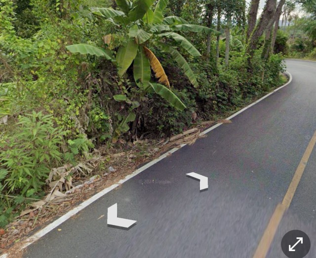 SALEขายที่ดินพรุจำปา ถลาง เนื้อที่ 1 ไร่ 1 งาน 41 ตารางวาขายเหมา 10.8 ล้าน