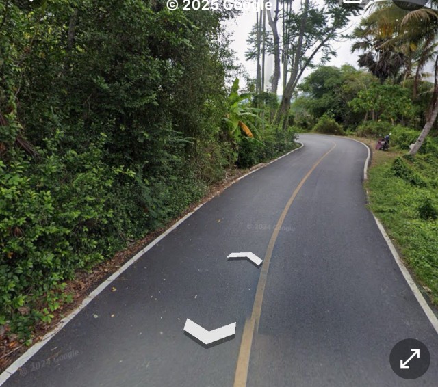 SALEขายที่ดินพรุจำปา ถลาง เนื้อที่ 1 ไร่ 1 งาน 41 ตารางวาขายเหมา 10.8 ล้าน