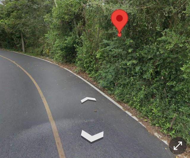 SALEขายที่ดินพรุจำปา ถลาง เนื้อที่ 1 ไร่ 1 งาน 41 ตารางวาขายเหมา 10.8 ล้าน