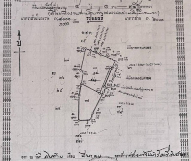 forrentให้เช่าที่ดินกิจการกะตะในซอยปฎัก3 เนื้อที่4ไร่ ค่าเช่า250,000บาทต่อเดือน