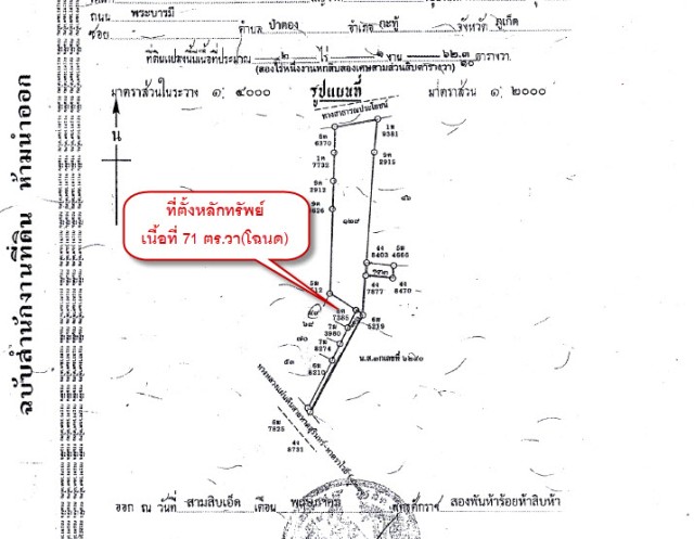 SALEขายที่ดินใกล้หาดกะหลิม ป่าตองหน้าคอนโดThe Privilege เนื้อที่71ตร.วาขาย13ล้าน