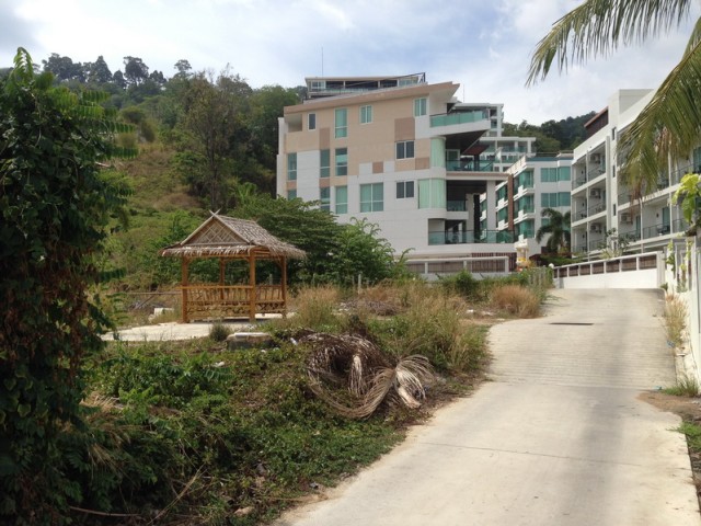 SALEขายที่ดินใกล้หาดกะหลิม ป่าตองหน้าคอนโดThe Privilege เนื้อที่71ตร.วาขาย13ล้าน