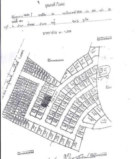 SALEขายทิ่ดินซีวิวป่าตอง หลังปางช้างเลยไซม่อนคาบาร์เร่เนื้อที่ 76ตร.วาขาย 9 ล้าน