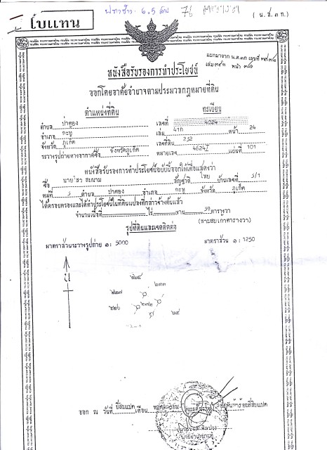 SALEขายทิ่ดินซีวิวป่าตอง หลังปางช้างเลยไซม่อนคาบาร์เร่เนื้อที่ 76ตร.วาขาย 9 ล้าน