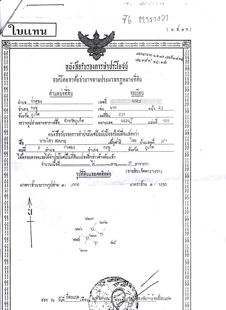 SALEขายทิ่ดินซีวิวป่าตอง หลังปางช้างเลยไซม่อนคาบาร์เร่เนื้อที่ 76ตร.วาขาย 9 ล้าน