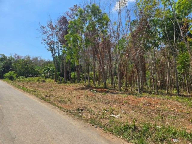 SALEขายที่ดิน พิกัด พารา ต.ป่าคลอก เนื้อที่ 8 ไร่เศษ ขาย 5.5 ล้านต่อไร่