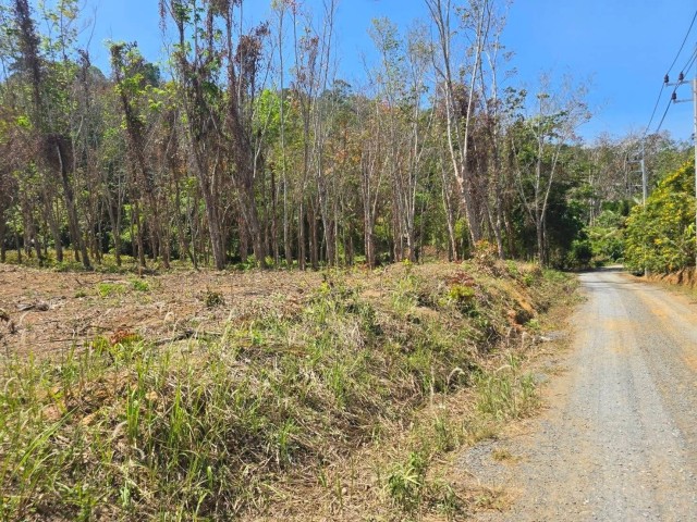 SALEขายที่ดิน พิกัด พารา ต.ป่าคลอก เนื้อที่ 8 ไร่เศษ ขาย 5.5 ล้านต่อไร่