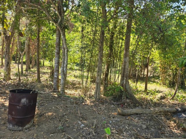 SALEขายที่ดิน พิกัด พารา ต.ป่าคลอก เนื้อที่ 8 ไร่เศษ ขาย 5.5 ล้านต่อไร่