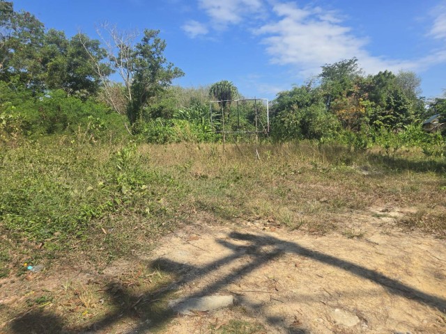 SALEขายที่ดินถลางใกล้สนามบินภูเก็ตในซ.ในยาง13-3 เนื้อที่ 1.5 ไร่ ขาย 16.5 ล้าน