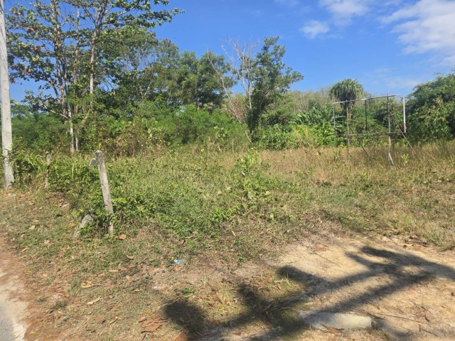 SALEขายที่ดินถลางใกล้สนามบินภูเก็ตในซ.ในยาง13-3 เนื้อที่ 1.5 ไร่ ขาย 16.5 ล้าน