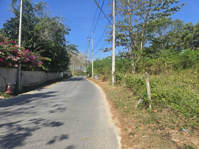 SALEขายที่ดินถลางใกล้สนามบินภูเก็ตในซ.ในยาง13-3 เนื้อที่ 1.5 ไร่ ขาย 16.5 ล้าน