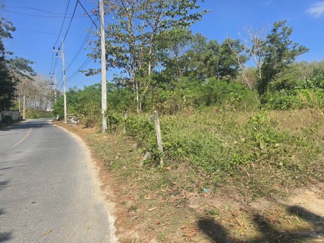 SALEขายที่ดินถลางใกล้สนามบินภูเก็ตในซ.ในยาง13-3 เนื้อที่ 1.5 ไร่ ขาย 16.5 ล้าน