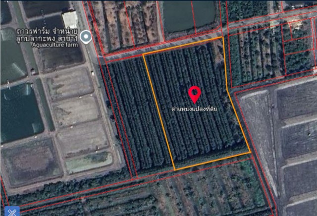 SALEขายที่ดินเมืองสมุทรสงคราม โซนลาดใหญ่ เนื้อที่ 6 ไร่เศษ ขาย 1 ล้านต่อไร่