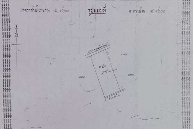 SALEขายที่ดินสวนมะพร้าวหน้าติดคลองขุนพิทักษ์ เนื้อที่ 6 ไร่เศษ ขายเหมา 12 ล้าน