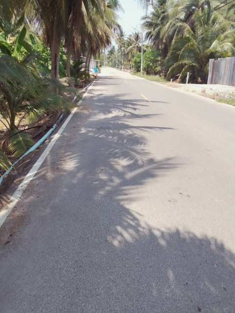 SALEขายที่ดินสวนมะพร้าวหน้าติดคลองขุนพิทักษ์ เนื้อที่ 6 ไร่เศษ ขายเหมา 12 ล้าน