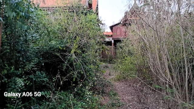 SALEขายที่ดินพร้อมบ้านทรงไทยติดคลอง ลาดใหญ่ เนื้อที่ 4 ไร่เศษ ขายเหมา 15 ล้าน