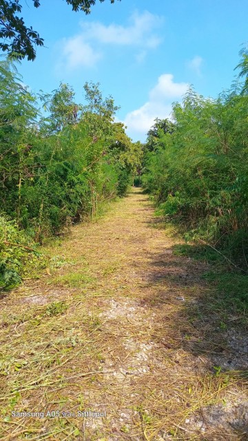 SALEขายที่ดินพร้อมบ้านทรงไทยติดคลอง ลาดใหญ่ เนื้อที่ 4 ไร่เศษ ขายเหมา 15 ล้าน