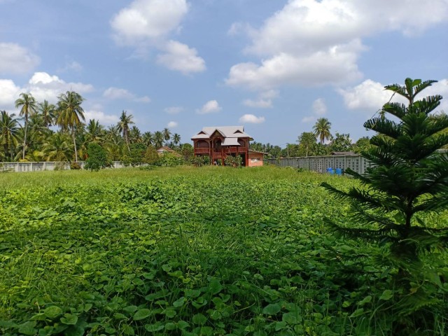 SALEขายที่ดินพร้อมบ้านทรงไทยติดแม่น้ำแม่กลอง สมุทรสงคราม เนื้อที่6ไร่ ขาย55ล้าน