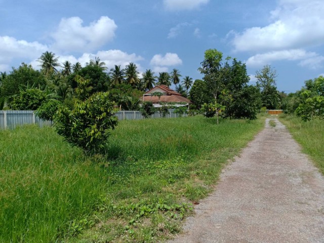 SALEขายที่ดินพร้อมบ้านทรงไทยติดแม่น้ำแม่กลอง สมุทรสงคราม เนื้อที่6ไร่ ขาย55ล้าน