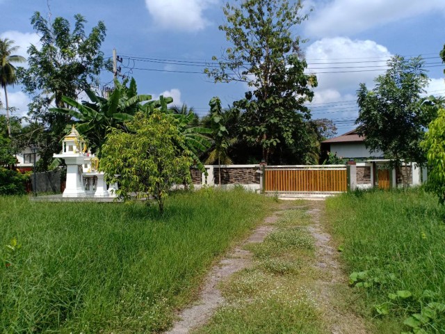 SALEขายที่ดินพร้อมบ้านทรงไทยติดแม่น้ำแม่กลอง สมุทรสงคราม เนื้อที่6ไร่ ขาย55ล้าน