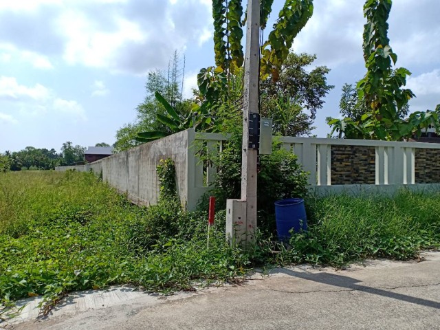 SALEขายที่ดินพร้อมบ้านทรงไทยติดแม่น้ำแม่กลอง สมุทรสงคราม เนื้อที่6ไร่ ขาย55ล้าน