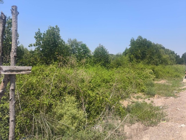 SALEขายที่ดินใกล้ทะเลบางแก้ว เมืองสมุทรงสงคราม เนื้อที่23ไร่เศษ ขาย1.5ล้านต่อไร่