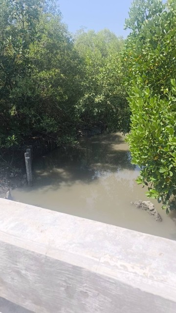 SALEขายที่ดินใกล้ทะเลบางแก้ว เมืองสมุทรงสงคราม เนื้อที่23ไร่เศษ ขาย1.5ล้านต่อไร่