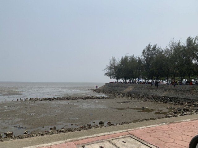 SALEขายที่ดินใกล้ทะเลบางแก้ว เมืองสมุทรงสงคราม เนื้อที่23ไร่เศษ ขาย1.5ล้านต่อไร่