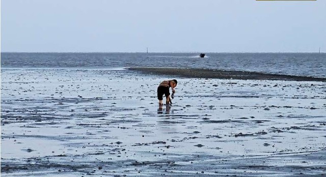 SALEขายที่ดินใกล้ทะเลบางแก้ว เมืองสมุทรงสงคราม เนื้อที่23ไร่เศษ ขาย1.5ล้านต่อไร่