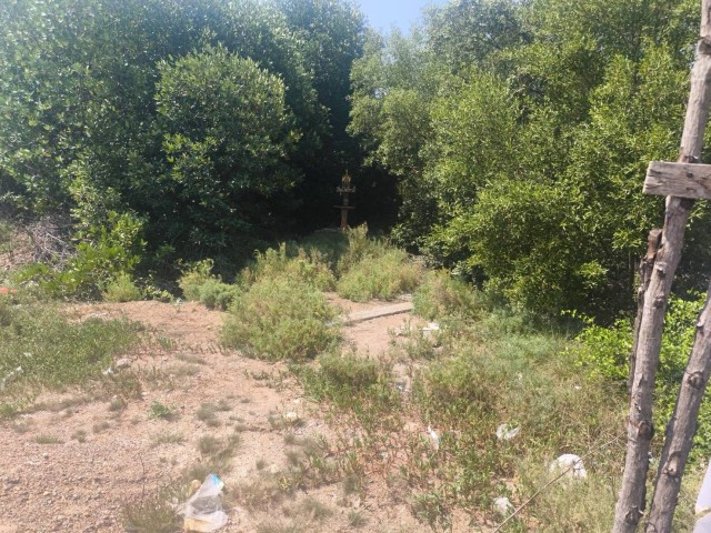 SALEขายที่ดินใกล้ทะเลบางแก้ว เมืองสมุทรงสงคราม เนื้อที่23ไร่เศษ ขาย1.5ล้านต่อไร่