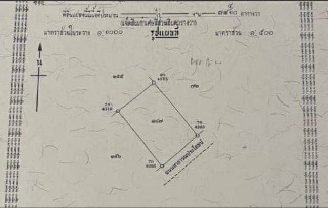SALEขายที่ดินตำบลบ้านปรก เมืองสมุทรสงคราม เนื้อที่ 79.4 ตร.วา ขายเหมา 1.4 ล้าน