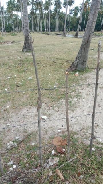 SALEขายที่ดินติดทะเลเกาะสมุย แหลมสอ(ตลิ่งงาม) เนื้อที่ 27 ไร่เศษขาย 12ล้านต่อไร่