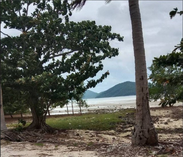 SALEขายที่ดินติดทะเลเกาะสมุย แหลมสอ(ตลิ่งงาม) เนื้อที่ 27 ไร่เศษขาย 12ล้านต่อไร่