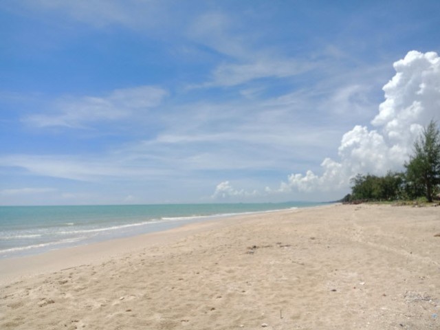 SALEขายที่ดินใกล้ทะเลหาดบ่อดาน สทิ้งพะ สงขลา เนื้อที่ 5.5 ไร่ขายเหมา 7.5 ล้าน