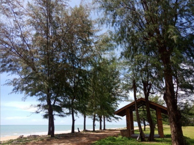 SALEขายที่ดินใกล้ทะเลหาดบ่อดาน สทิ้งพะ สงขลา เนื้อที่ 5.5 ไร่ขายเหมา 7.5 ล้าน