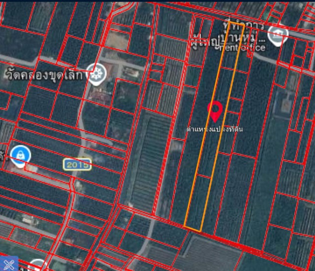 SALEขายที่ดินสวนมะพร้าวยี่สารอัมพวาใกล้วัดคลองขุดเนื้อที่14ไร่ขาย750,000ต่อไร่