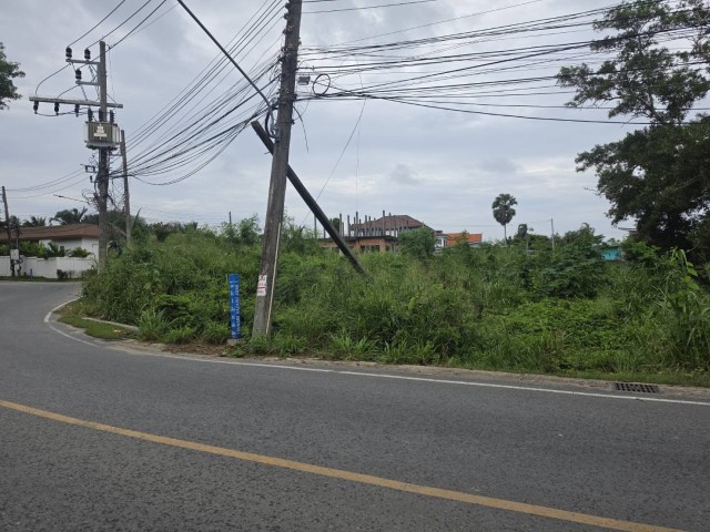 SALEขายที่ดินใกล้หาดราไวย์เพียง 600 ม.ในซอยนาใต้ เนื้อที่ 3 ไร่ขาย35ล้านต่อไร่