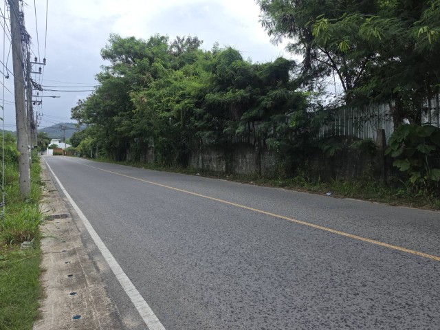 SALEขายที่ดินใกล้หาดราไวย์เพียง 600 ม.ในซอยนาใต้ เนื้อที่ 3 ไร่ขาย35ล้านต่อไร่
