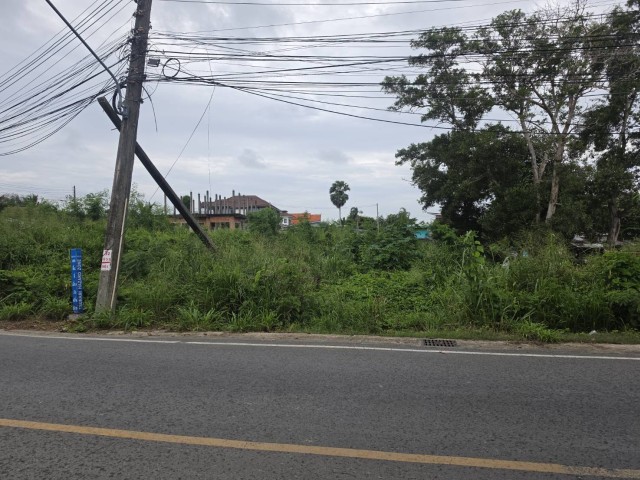 SALEขายที่ดินใกล้หาดราไวย์เพียง 600 ม.ในซอยนาใต้ เนื้อที่ 3 ไร่ขาย35ล้านต่อไร่